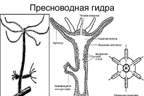 Как пройти капчу на блэкспруте